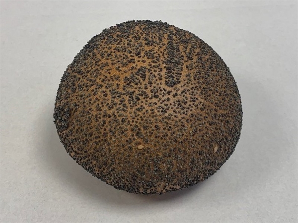 HARD MAANZAAD BOLLETJE