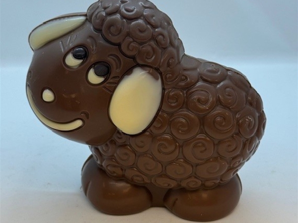 Chocolade schaap
